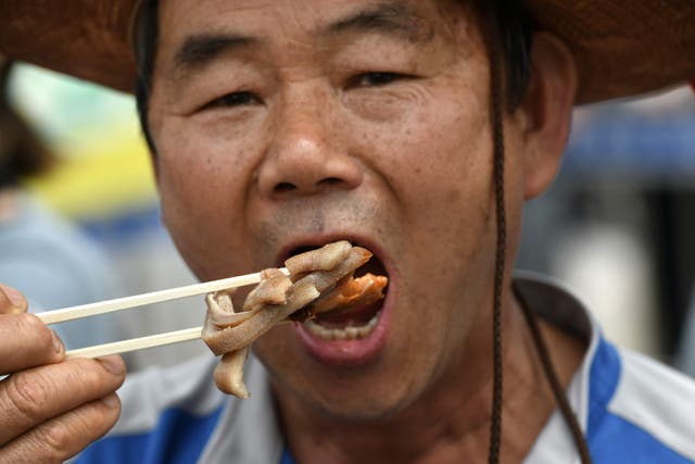 <p>File: A South Korean dog farmer eats dog meat during a counter-rally against animal rights activists demonstrating against the meat’s trade in 2019</p>