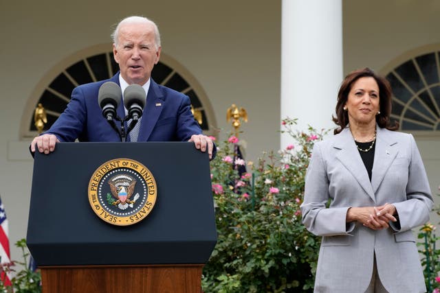 <p>Biden is perceived to lack the stamina for a race against a ruthless bully</p>