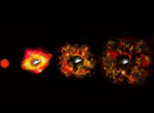 <p>In the failed supernova of a red supergiant, the envelope of the star is ejected and expands, producing a cold, red transient source surrounding the newly formed black hole, as illustrated by the expanding shell (left to right). </p>